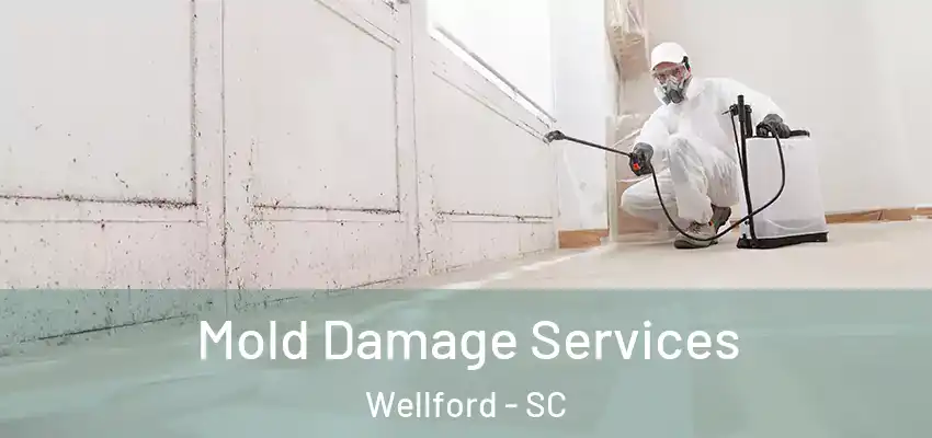 Mold Damage Services Wellford - SC