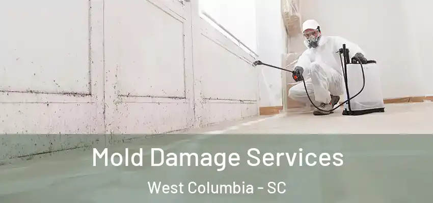  Mold Damage Services West Columbia - SC