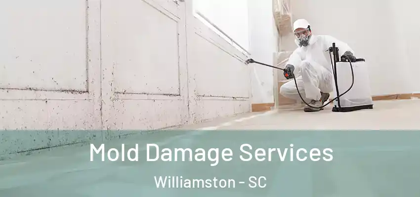  Mold Damage Services Williamston - SC