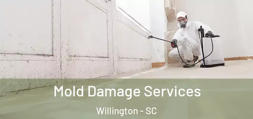 Mold Damage Services Willington - SC
