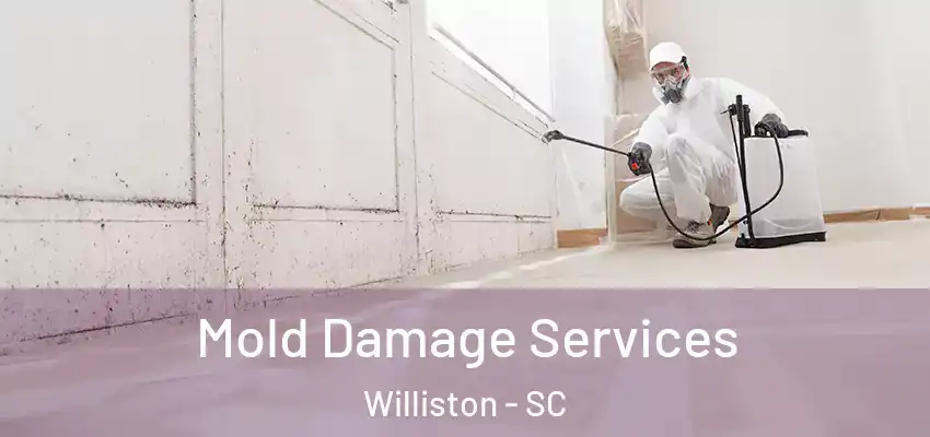 Mold Damage Services Williston - SC