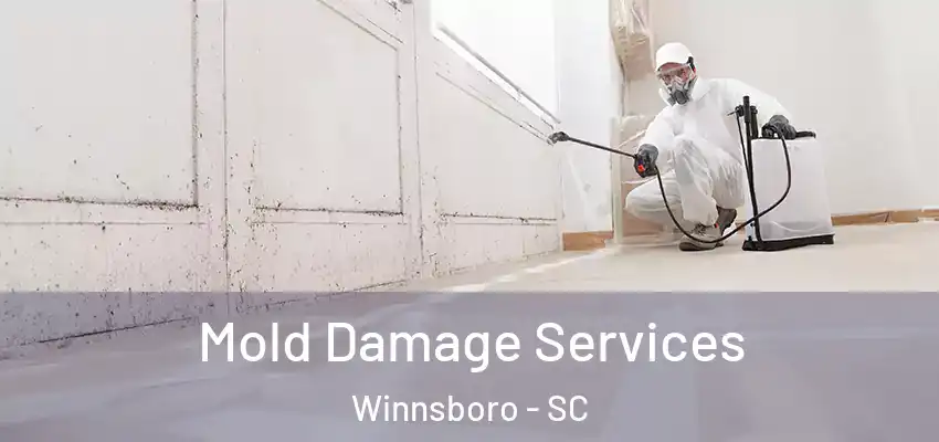  Mold Damage Services Winnsboro - SC