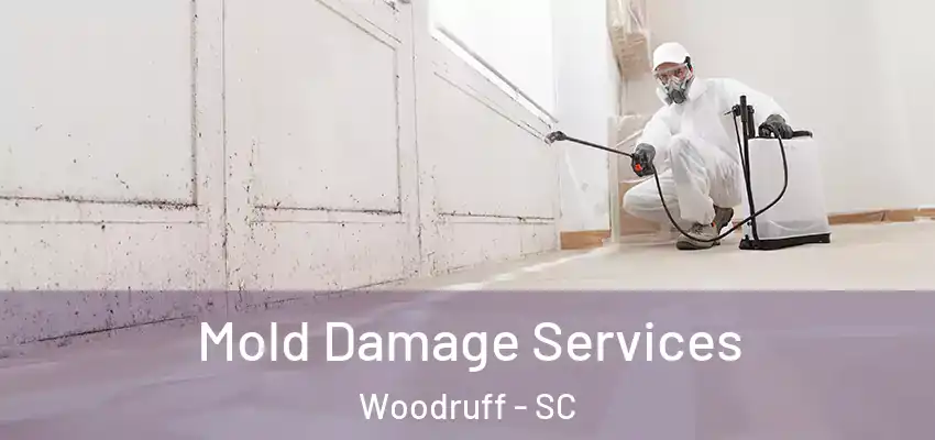 Mold Damage Services Woodruff - SC