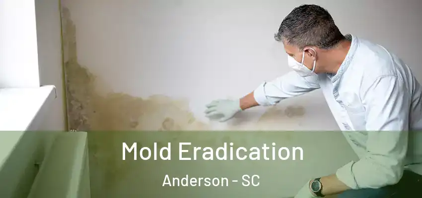  Mold Eradication Anderson - SC
