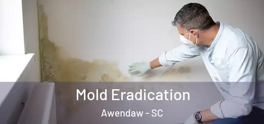  Mold Eradication Awendaw - SC