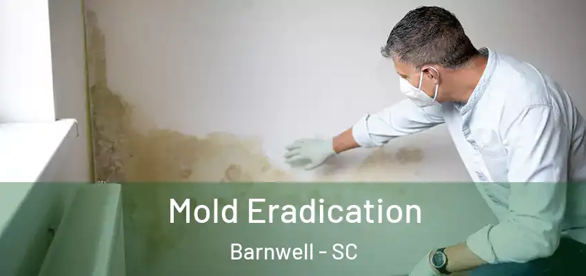 Mold Eradication Barnwell - SC