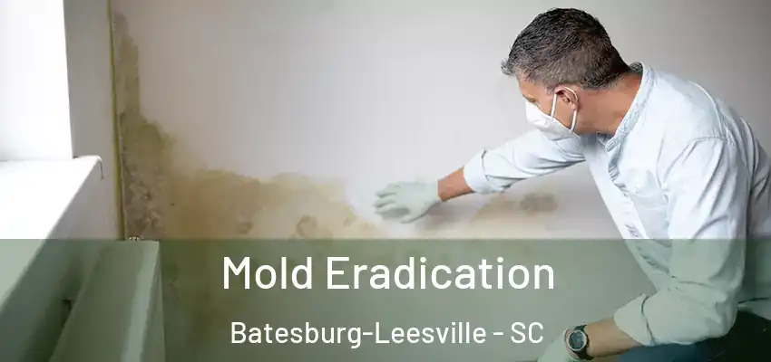  Mold Eradication Batesburg-Leesville - SC