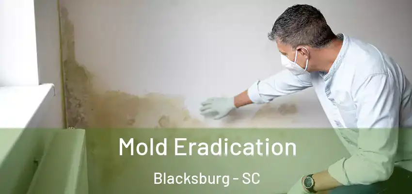 Mold Eradication Blacksburg - SC