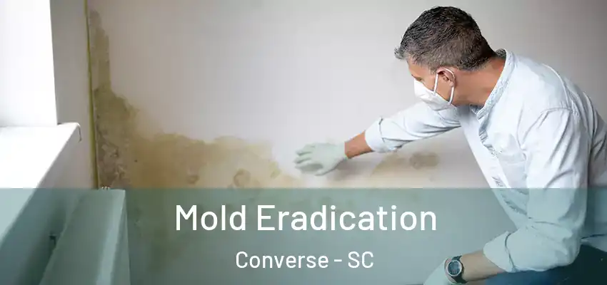 Mold Eradication Converse - SC