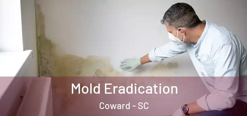 Mold Eradication Coward - SC