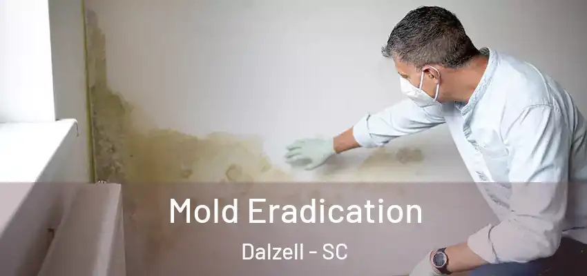Mold Eradication Dalzell - SC