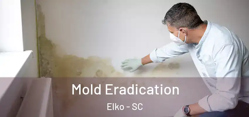 Mold Eradication Elko - SC