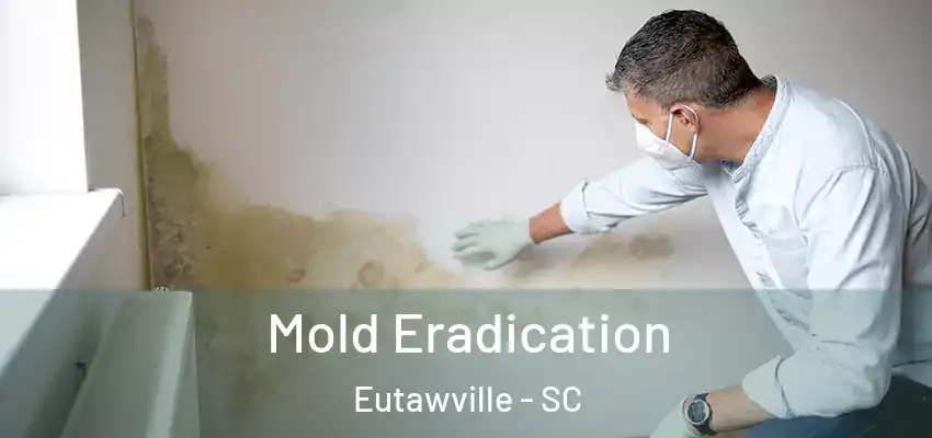 Mold Eradication Eutawville - SC