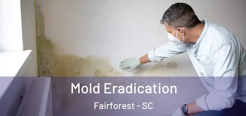 Mold Eradication Fairforest - SC