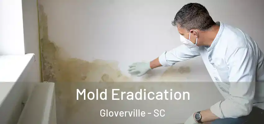 Mold Eradication Gloverville - SC