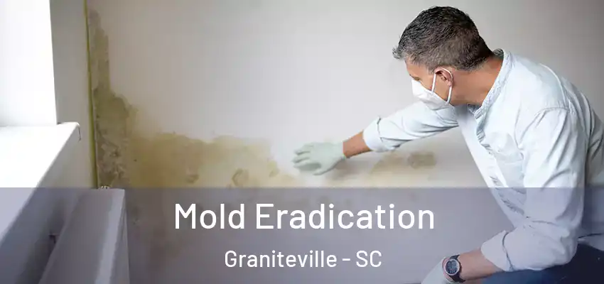 Mold Eradication Graniteville - SC