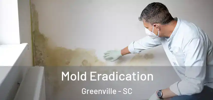  Mold Eradication Greenville - SC