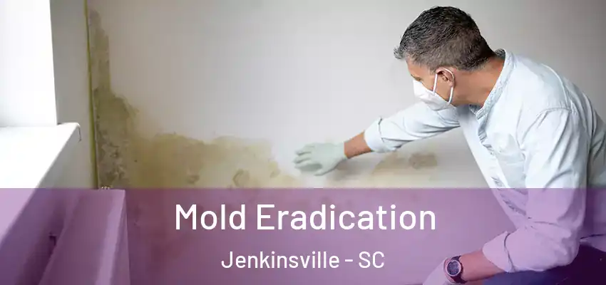  Mold Eradication Jenkinsville - SC