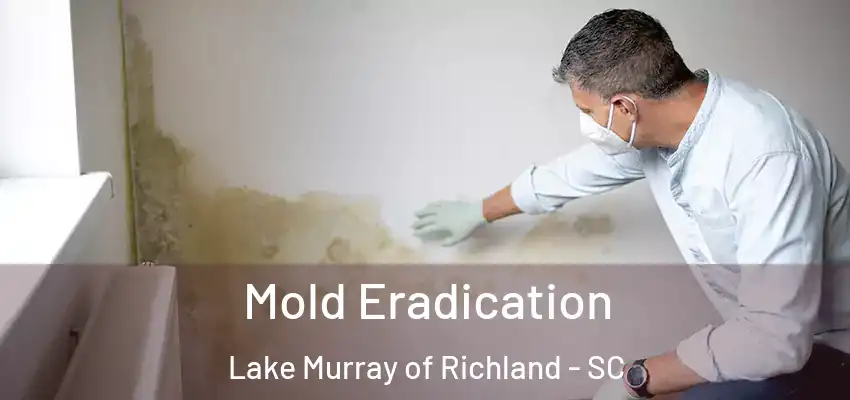 Mold Eradication Lake Murray of Richland - SC