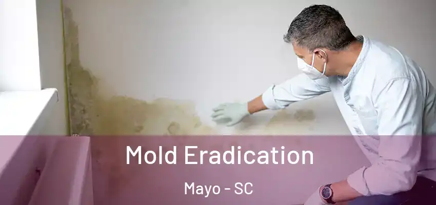 Mold Eradication Mayo - SC