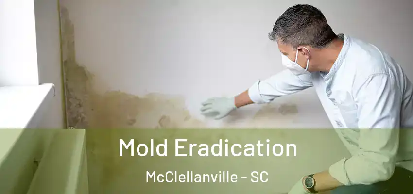  Mold Eradication McClellanville - SC