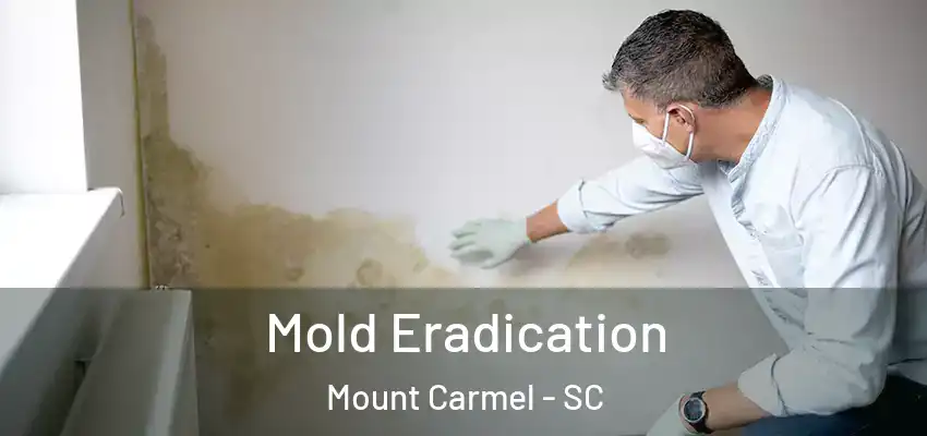  Mold Eradication Mount Carmel - SC