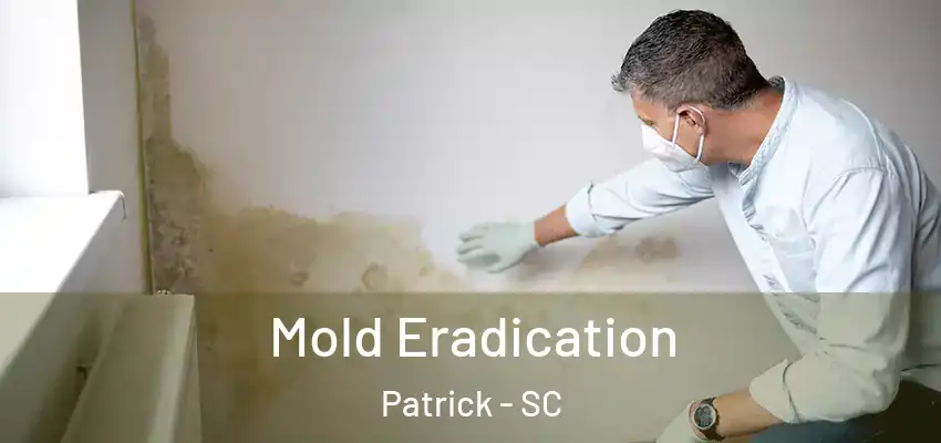  Mold Eradication Patrick - SC