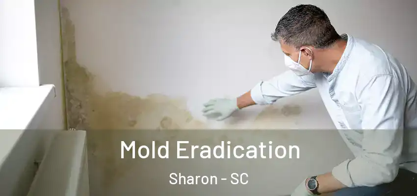 Mold Eradication Sharon - SC