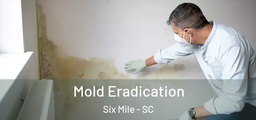Mold Eradication Six Mile - SC
