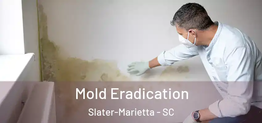  Mold Eradication Slater-Marietta - SC