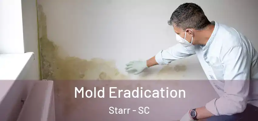  Mold Eradication Starr - SC