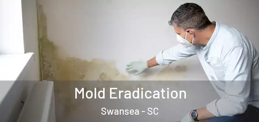  Mold Eradication Swansea - SC
