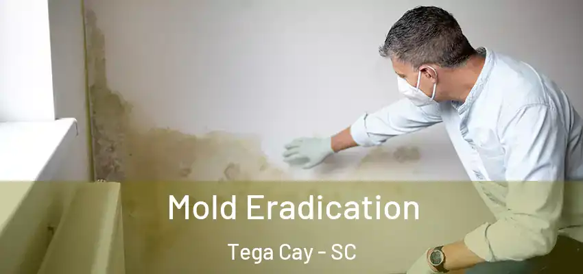 Mold Eradication Tega Cay - SC