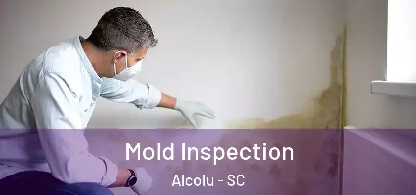  Mold Inspection Alcolu - SC
