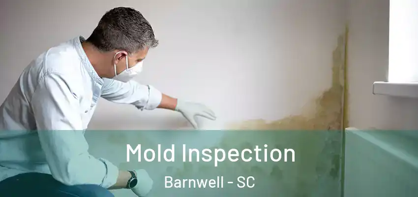 Mold Inspection Barnwell - SC