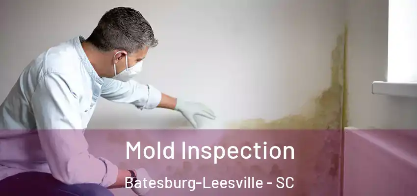 Mold Inspection Batesburg-Leesville - SC