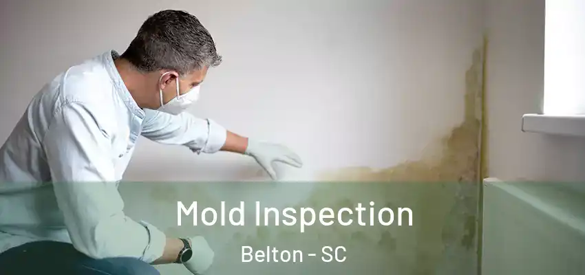 Mold Inspection Belton - SC