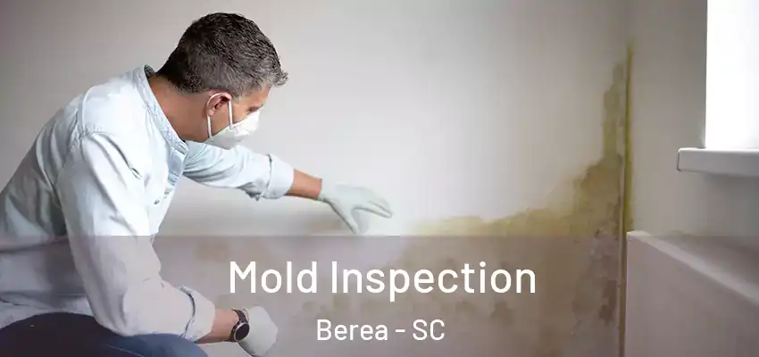 Mold Inspection Berea - SC