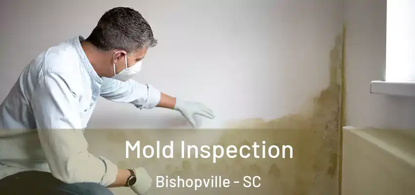  Mold Inspection Bishopville - SC