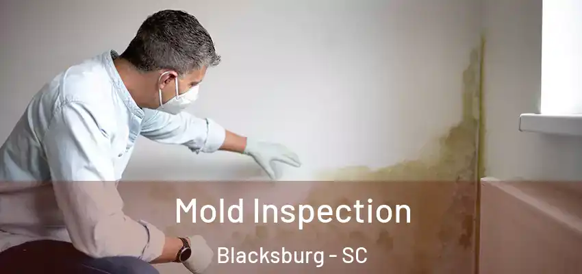 Mold Inspection Blacksburg - SC