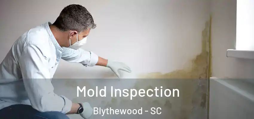  Mold Inspection Blythewood - SC