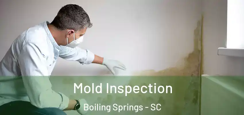 Mold Inspection Boiling Springs - SC