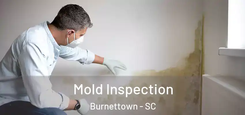 Mold Inspection Burnettown - SC