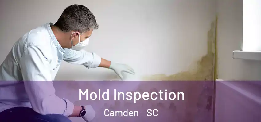  Mold Inspection Camden - SC