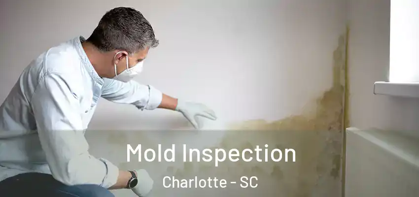  Mold Inspection Charlotte - SC