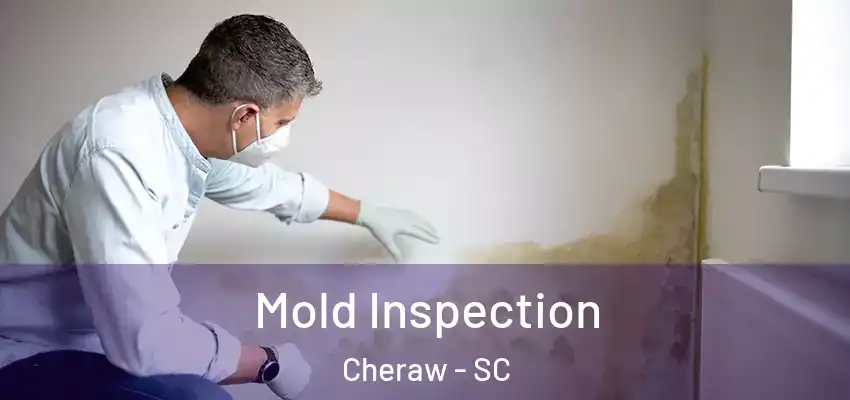 Mold Inspection Cheraw - SC
