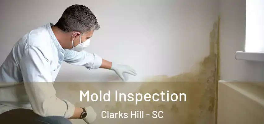  Mold Inspection Clarks Hill - SC