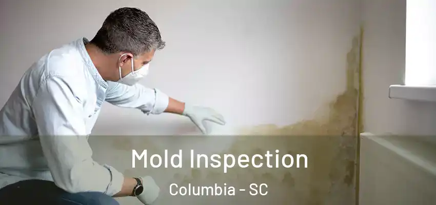 Mold Inspection Columbia - SC
