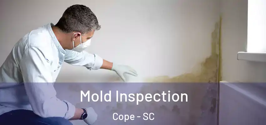 Mold Inspection Cope - SC