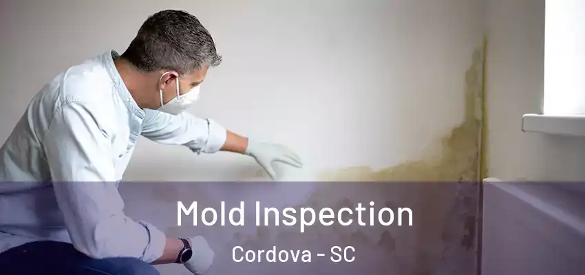  Mold Inspection Cordova - SC